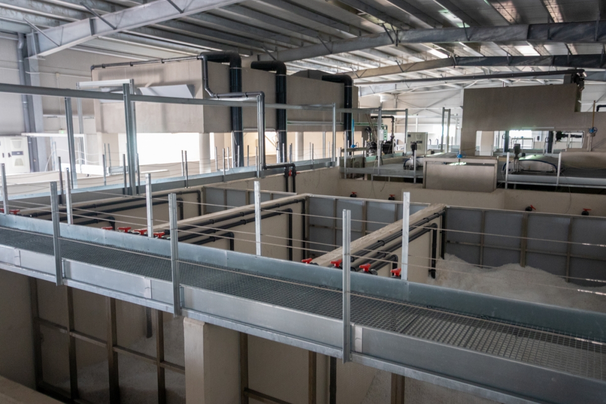  - Foto: PEPE OLIVARES