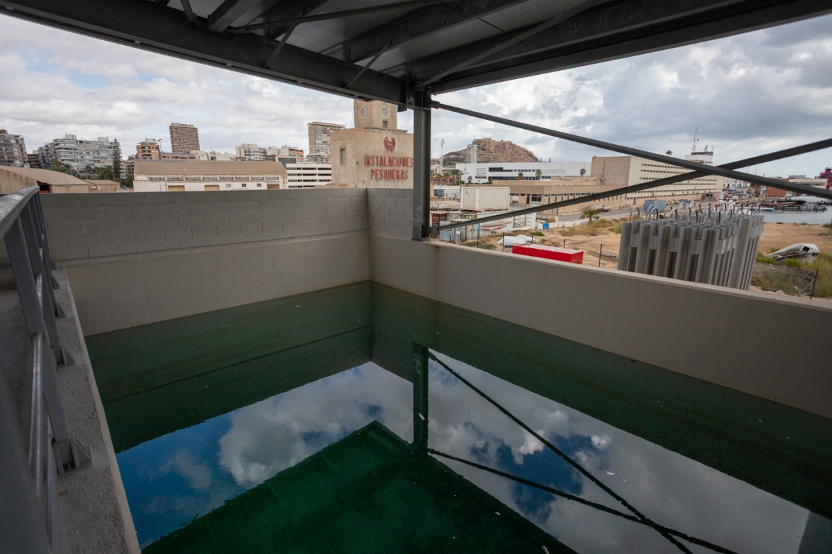  - Foto: PEPE OLIVARES