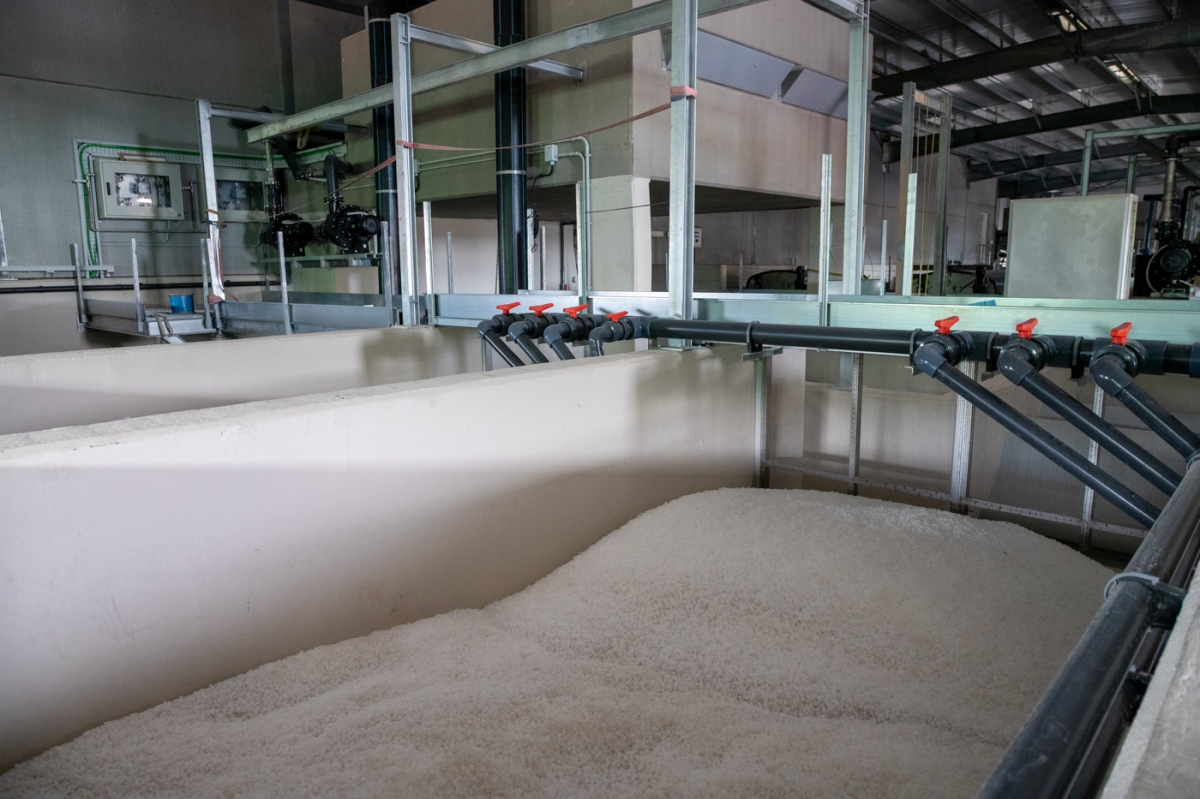  - Foto: PEPE OLIVARES