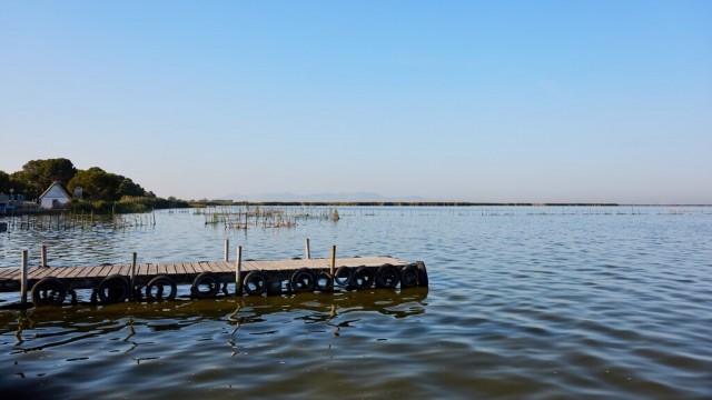 La CHJ estudia la cantidad de especies y ejemplares de peces presentes en L'Albufera