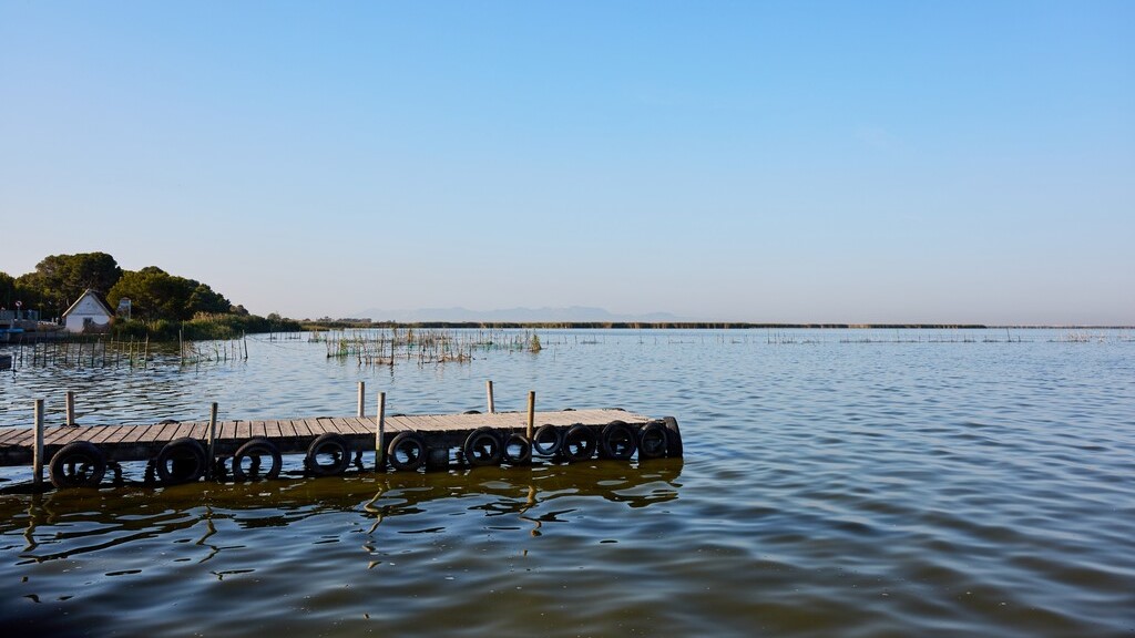 La CHJ estudia la cantidad de especies y ejemplares de peces presentes en L'Albufera