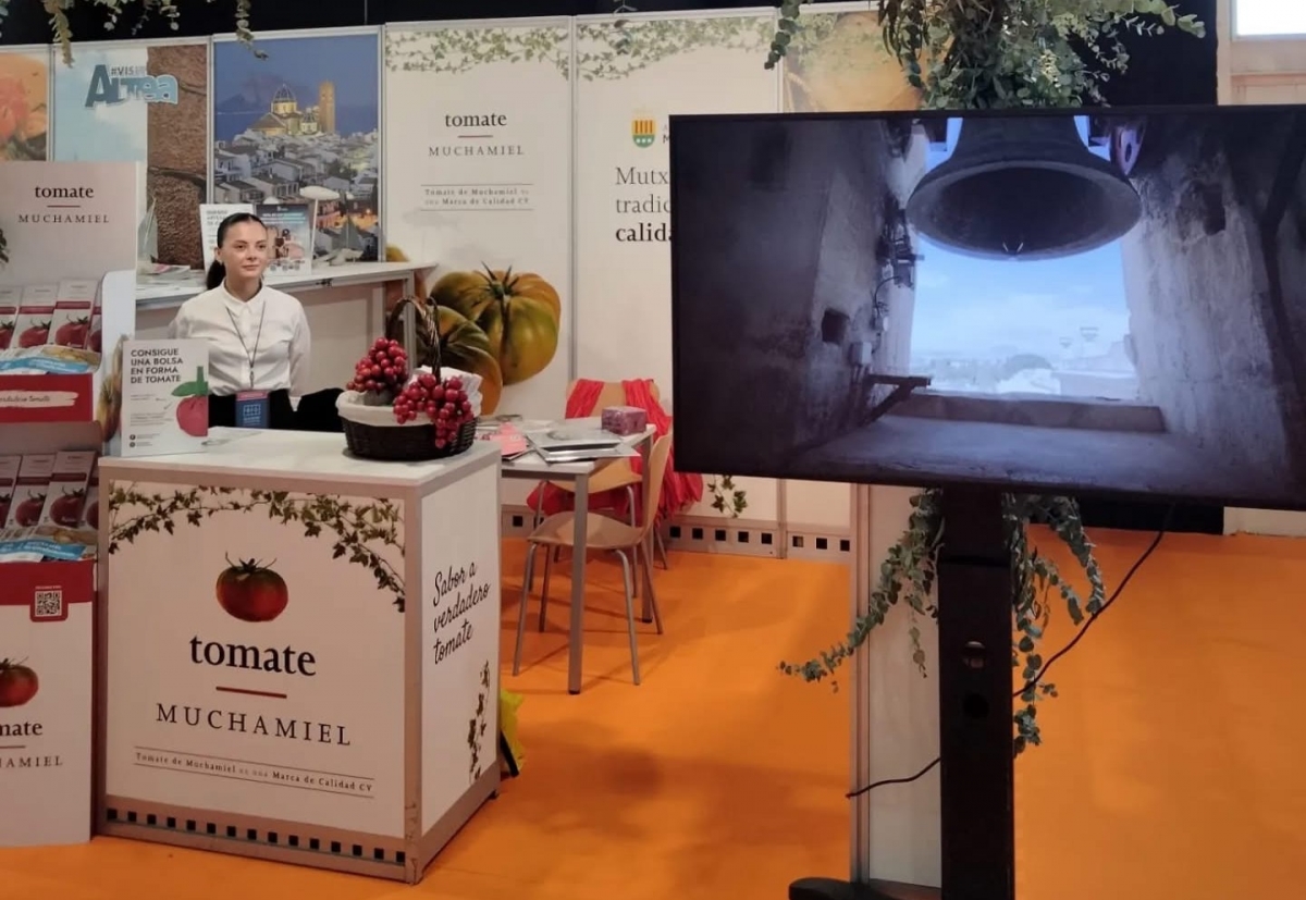 El Tomate Muchamiel estará presente en Alicante Gastronómica como símbolo de identidad