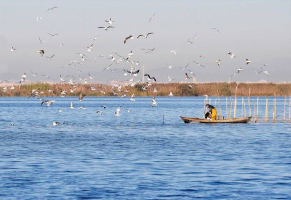 València autoriza el piragüismo en l'Albufera pese al criterio dispar de sus técnicos y Medio Ambiente