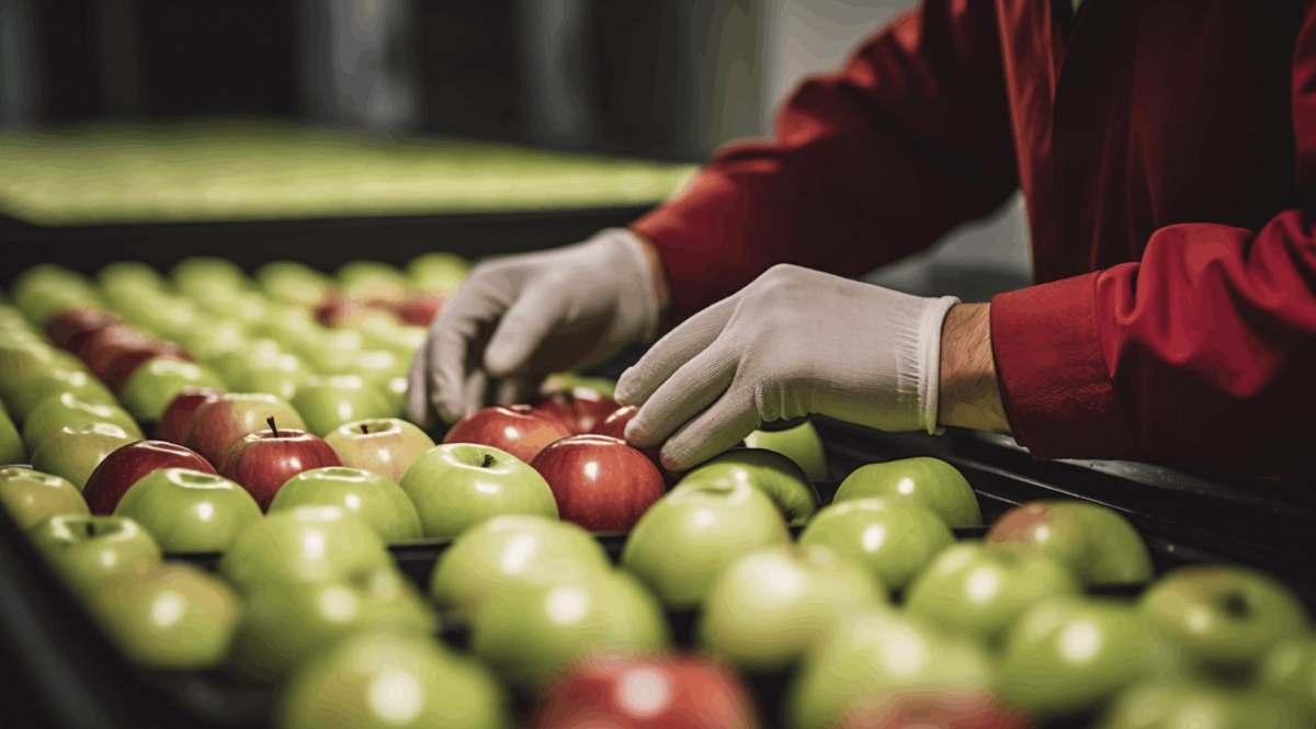 El sector agroalimentario consolida su tercer año de crecimiento consecutivo pese al desafío de los aranceles de EEUU