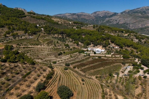 Masos: la vendimia que sigue escribiendo la historia vitivinícola del valle de Guadalest