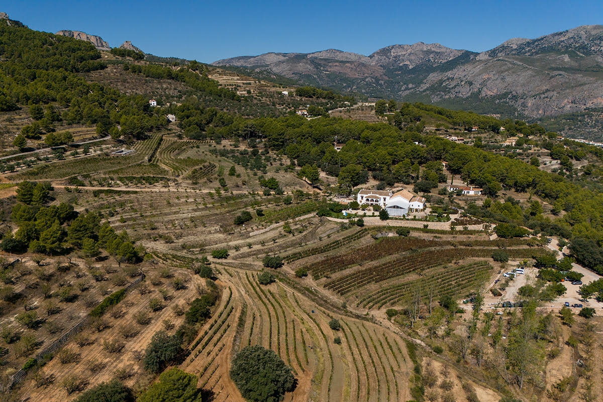 Masos: la vendimia que sigue escribiendo la historia vitivinícola del valle de Guadalest