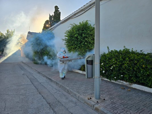 Burriana prepara el Día de Todos los Santos con un tratamiento contra los mosquitos en el cementerio