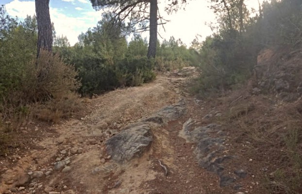 Ontinyent inicia el condicionament del sender d’accés a la finca forestal de Fuset