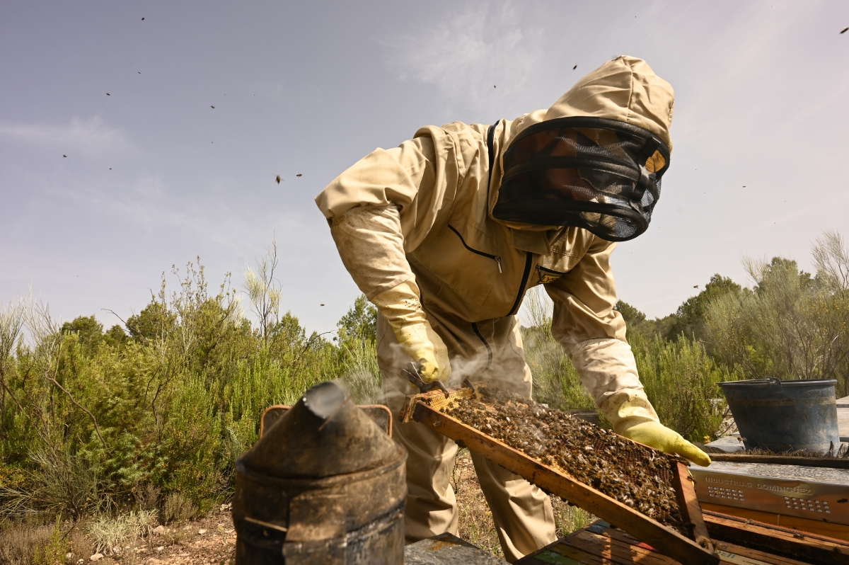 La miel valenciana que seduce al mundo