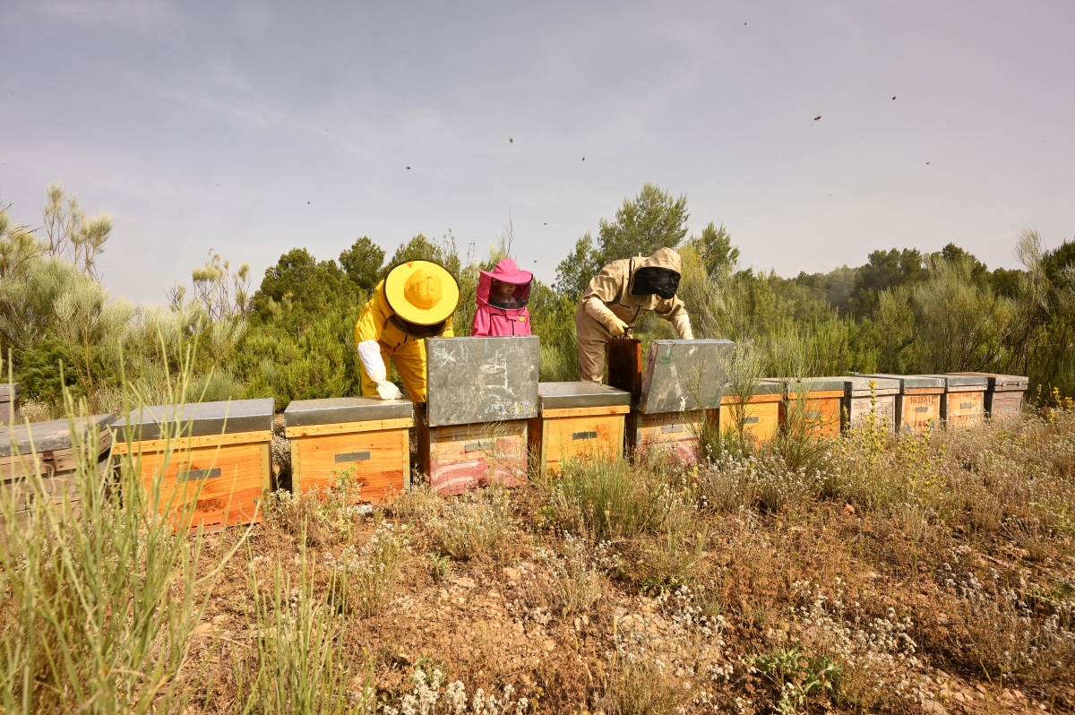  - Fotos:  Alfons Rodríguez 