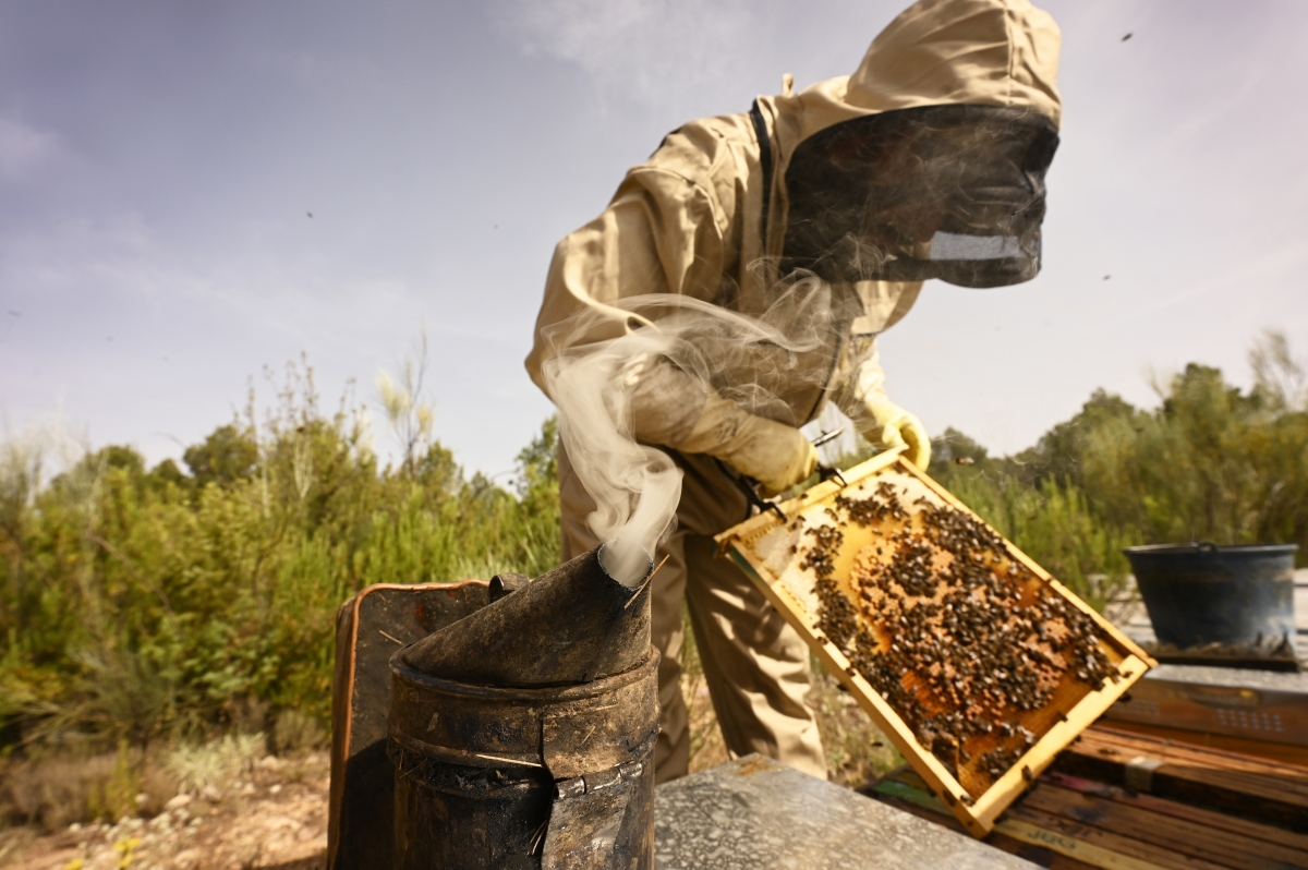  - Fotos:  Alfons Rodríguez 