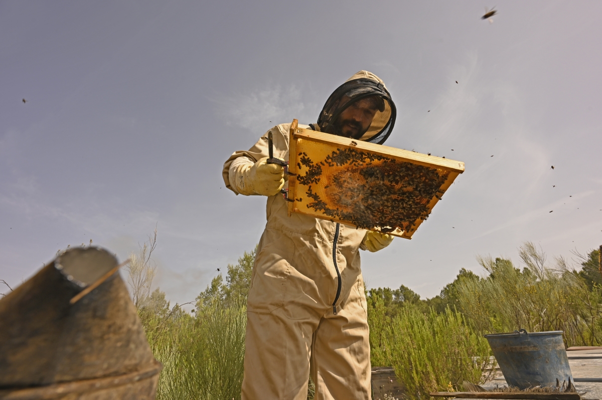  - Fotos:  Alfons Rodríguez 