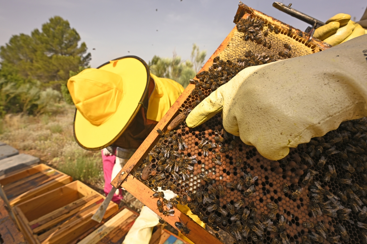  - Fotos:  Alfons Rodríguez 