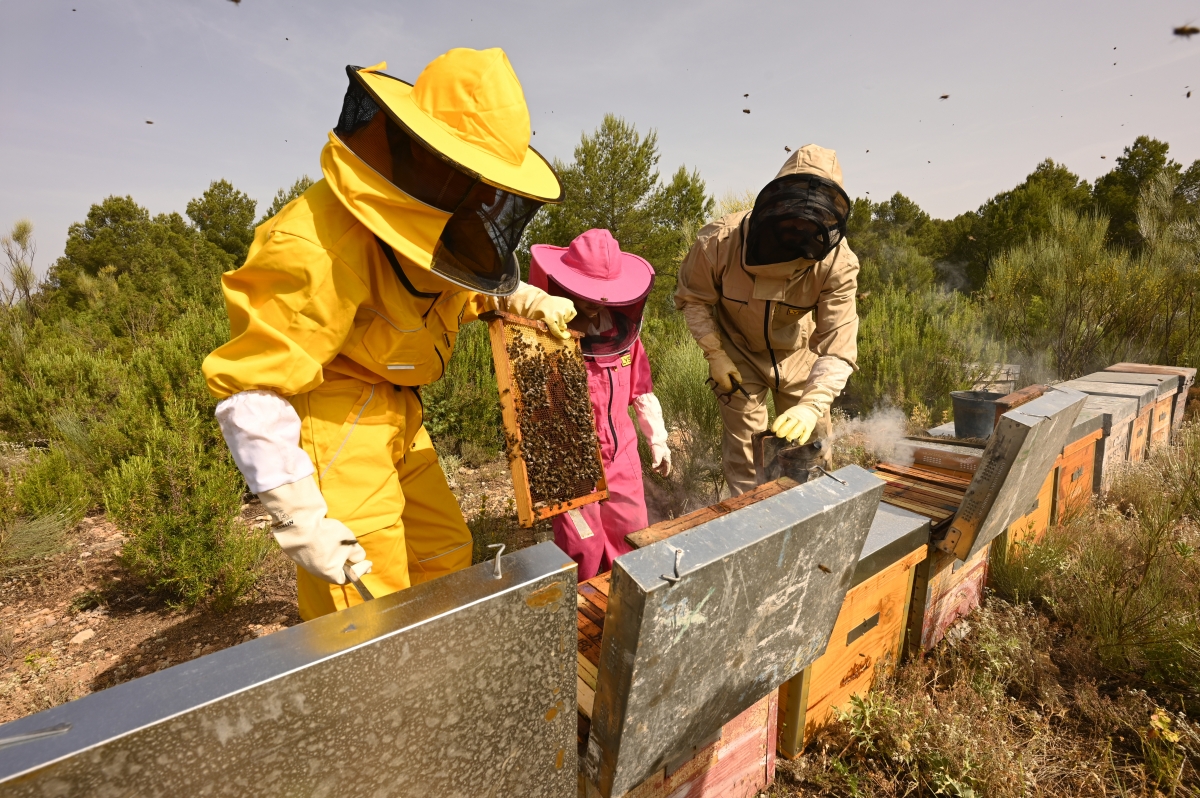  - Fotos:  Alfons Rodríguez 