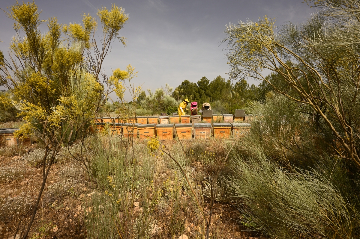  - Fotos:  Alfons Rodríguez 