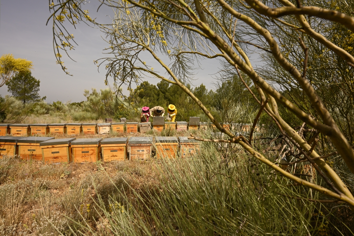  - Fotos:  Alfons Rodríguez 