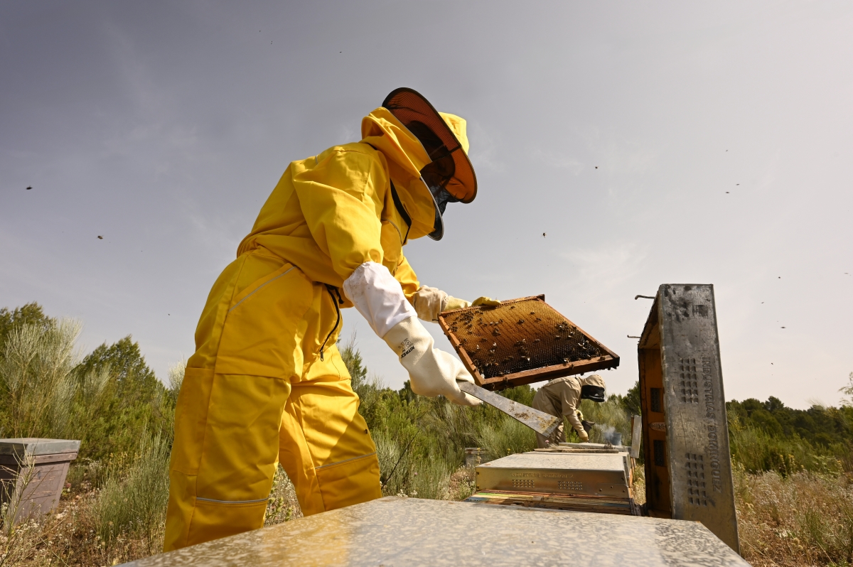  - Fotos:  Alfons Rodríguez 