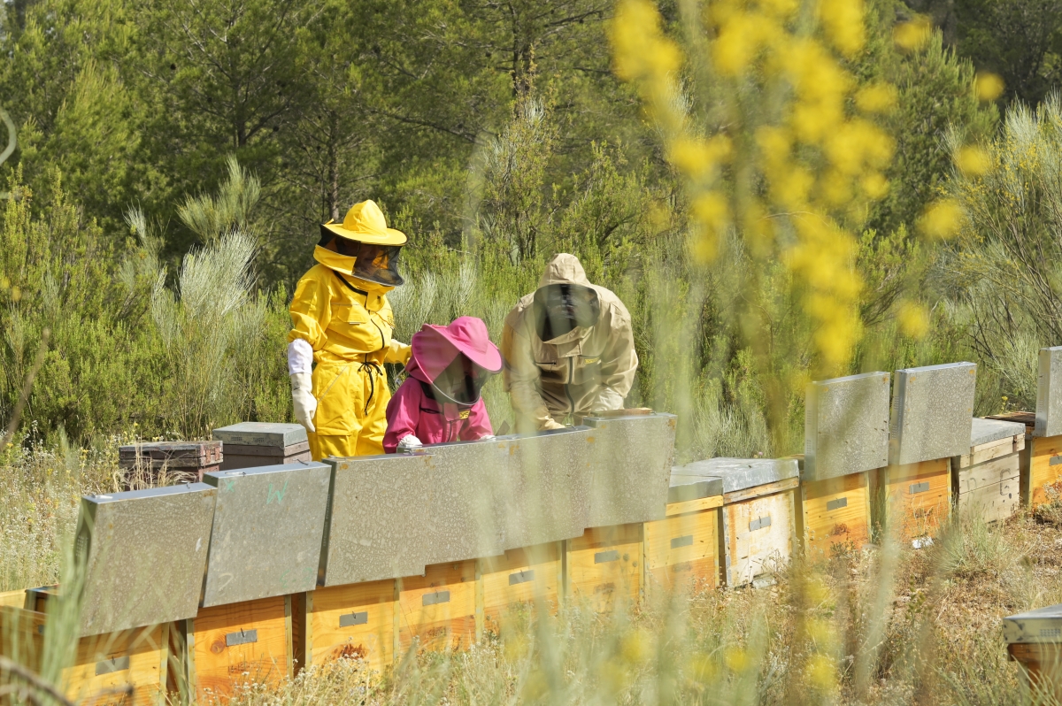  - Fotos:  Alfons Rodríguez 