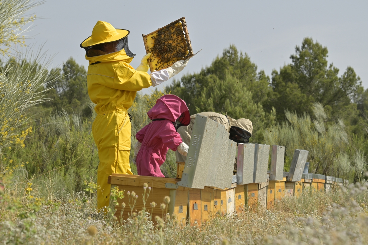  - Fotos:  Alfons Rodríguez 