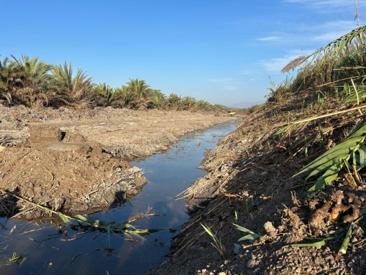 Agricultura invierte 2,1 millones en mejoras del Canal de Riegos de Levante a su paso por El Hondo