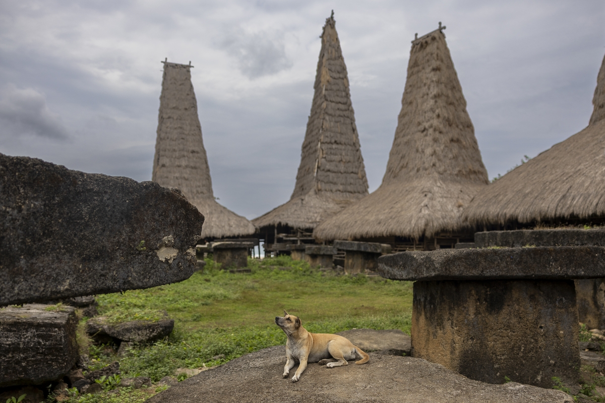 Poblado Sumba - Poblado Sumba