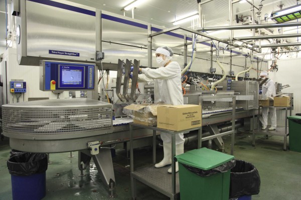 Helados Estiu ganó 2 millones de euros en 2015 con una facturación de 42 millones