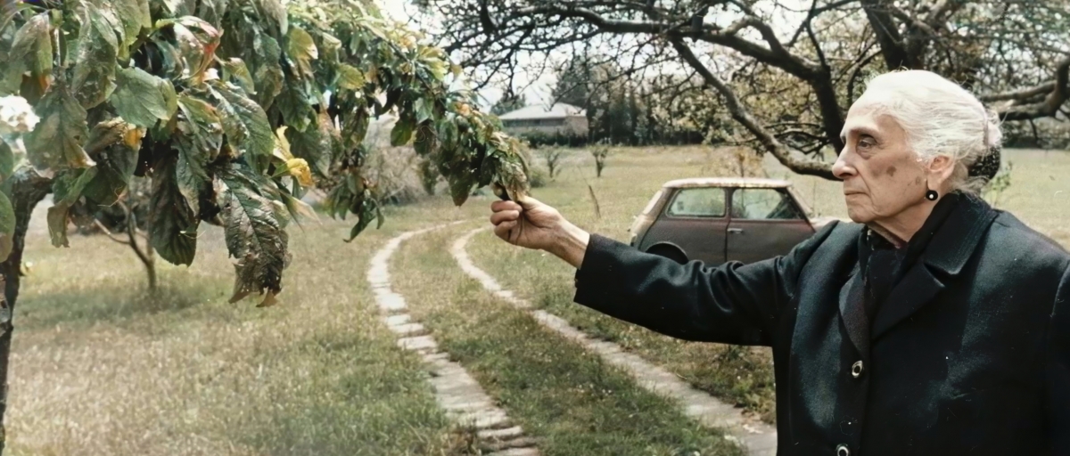 Amparo Climent descubre la vida de La Pasionaria a través de la mirada de los suyos