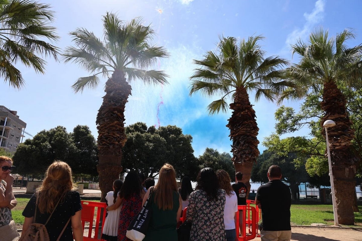 Catarroja celebra un espectáculo pirotécnico en homenaje a las víctimas de la Dana