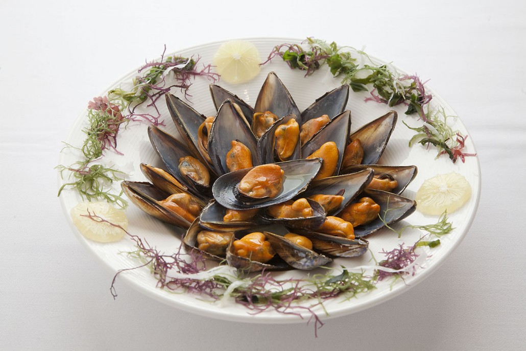 La Clóchina de Valencia ya está de temporada