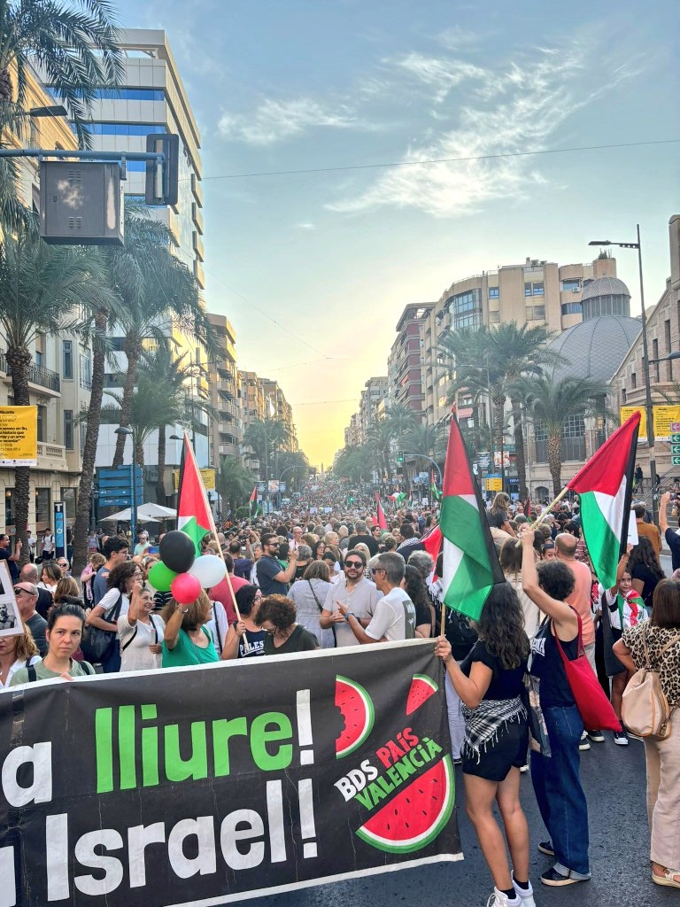 La manifestación en Alicante - Foto EU La manifestación en Alicante