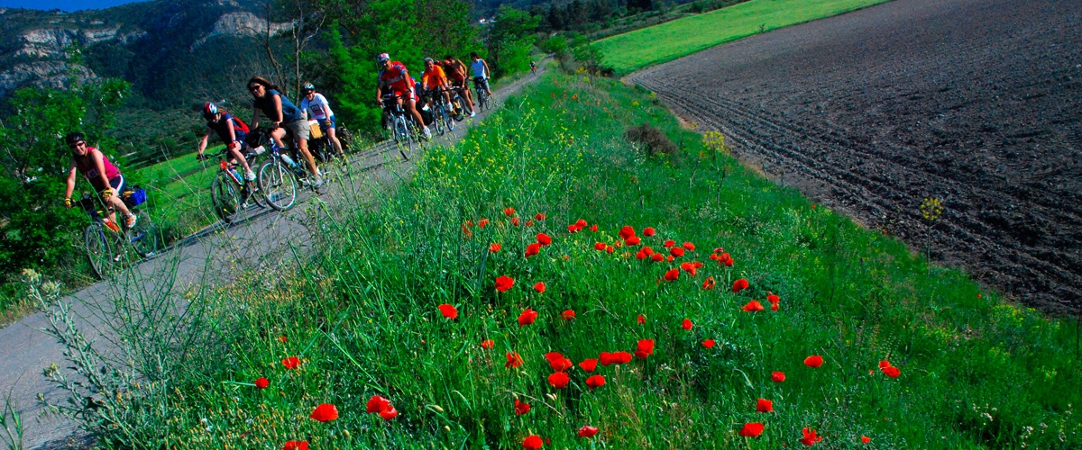 Naturaleza en estado puro, desde Villena a Biar, rememorando el trayecto del tren Xixarra. - FOTO: viasverdes.com Naturaleza en estado puro, desde Villena a Biar, rememorando el trayecto del tren Xixarra.