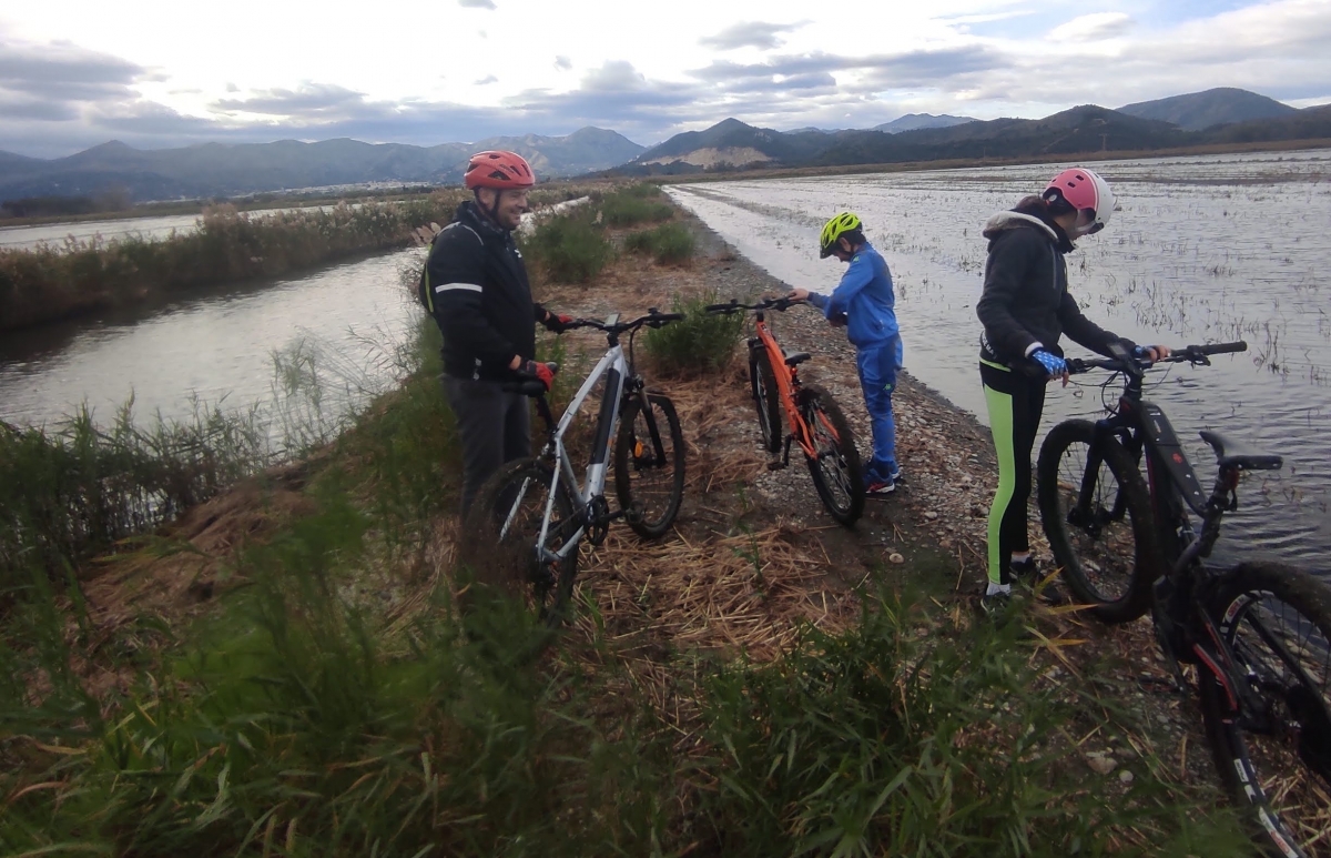 La Marjal de Pego-Oliva, un santuario de la naturaleza que se disfruta en bici. - Foto: Plaza La Marjal de Pego-Oliva, un santuario de la naturaleza que se disfruta en bici.