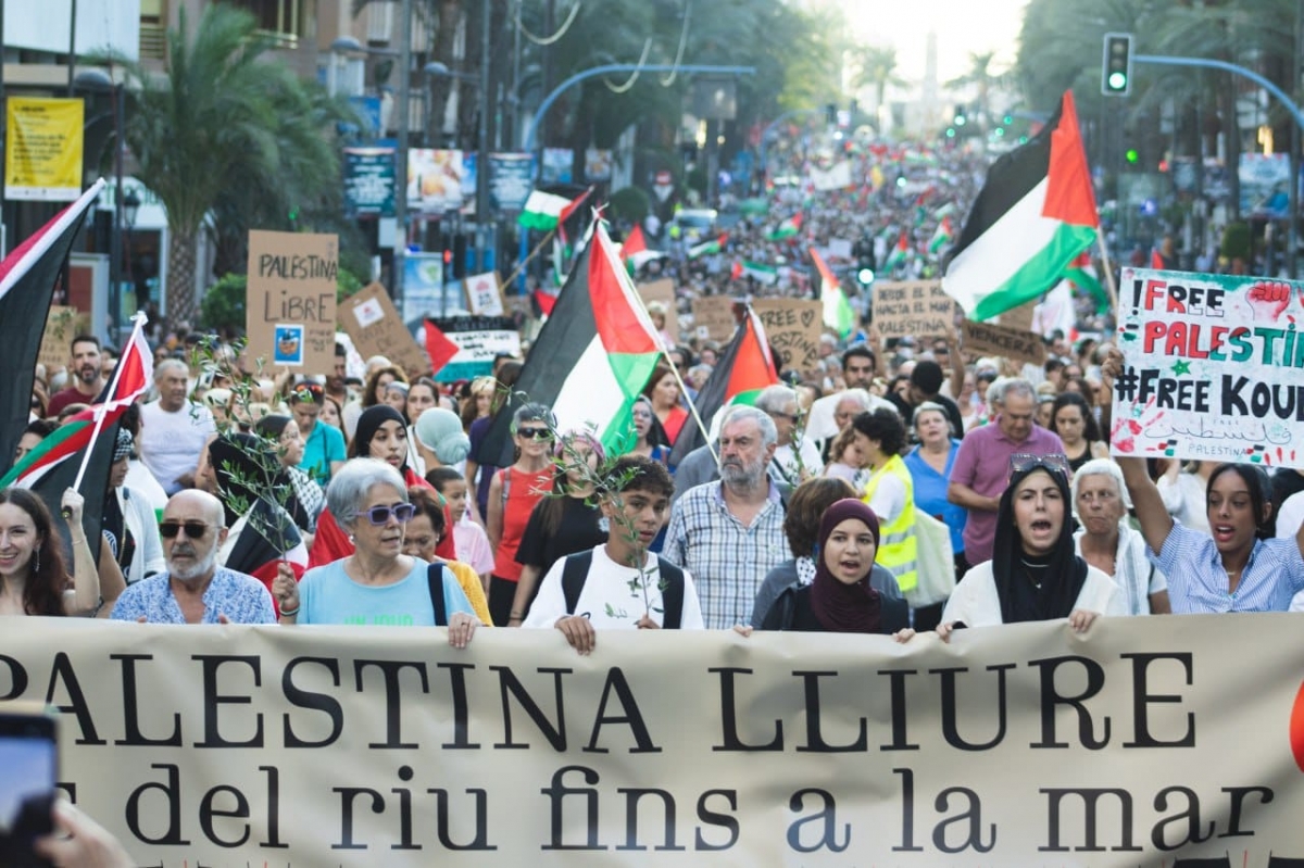 La manifestación de Alicante en favor de Palestina, en imágenes