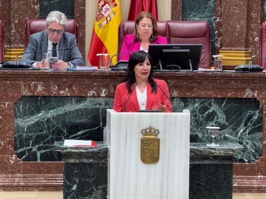 El PSOE lleva a la Asamblea el 