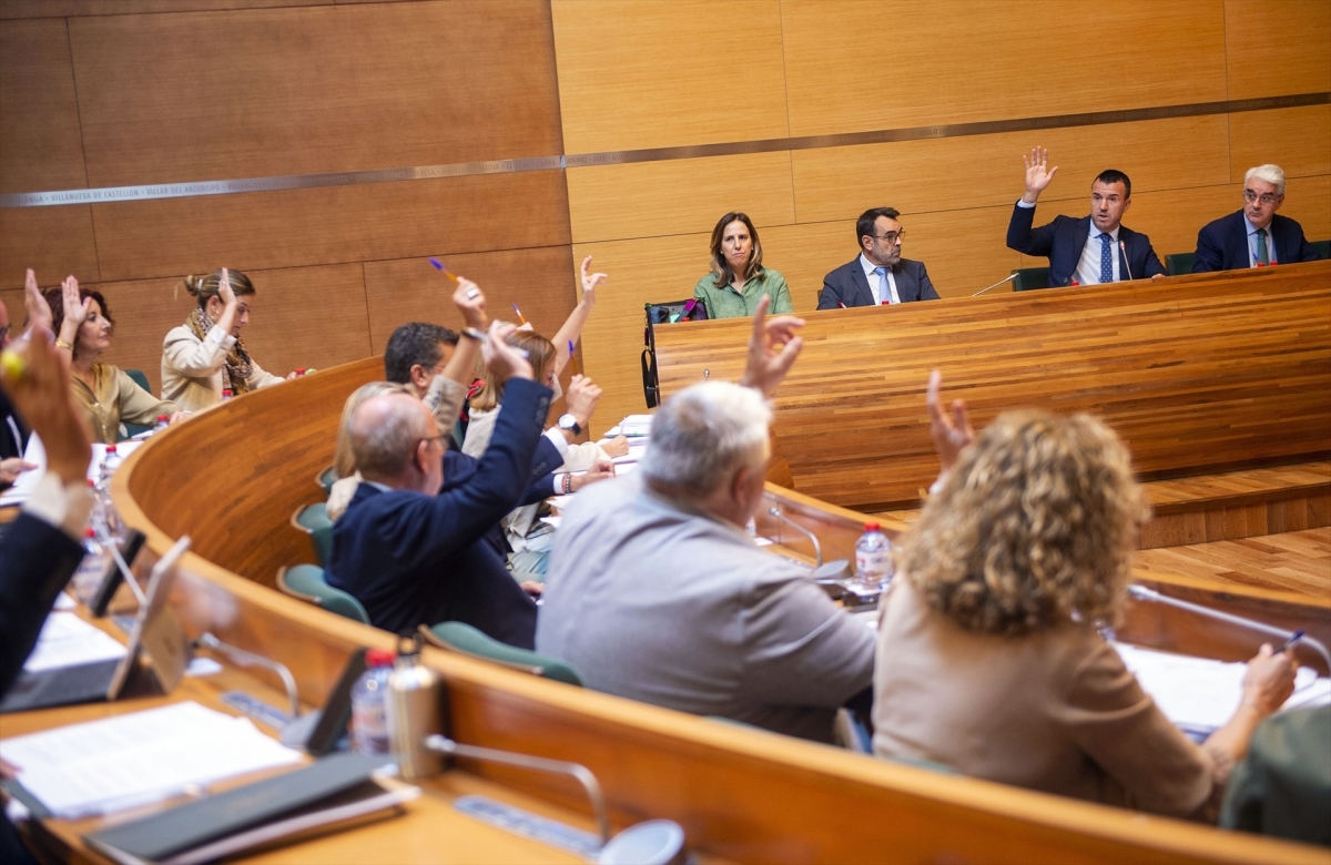 El grupo socialista cuelga todos sus títulos en la web de la Diputación mientras PP, Ens Uneix y Vox siguen sin hacerlo