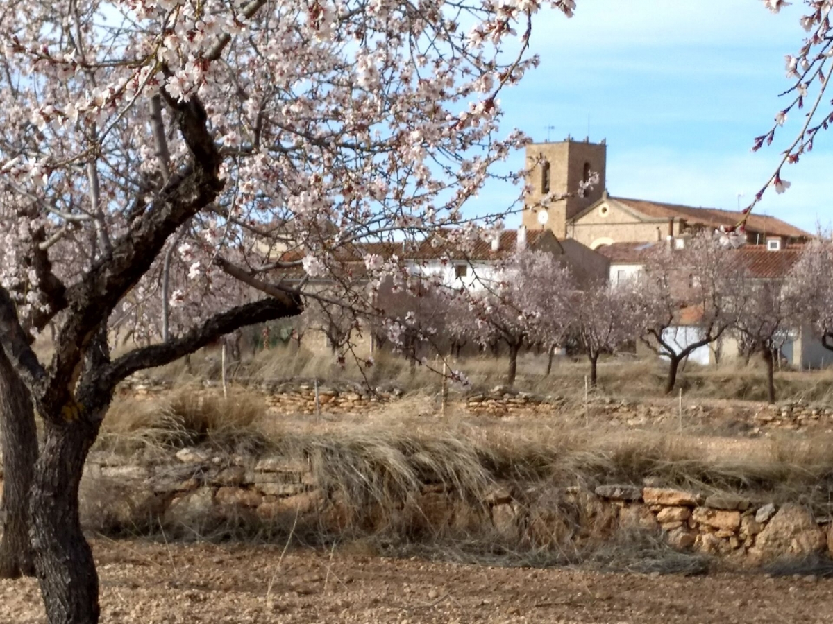 La Yesa cambia de alcalde y los socialistas gobernarán por primera vez desde la República