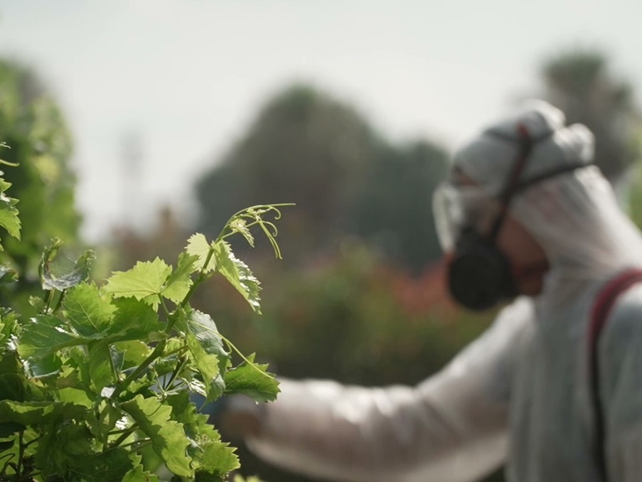 AVA-Asaja celebra que la Comisión Europea posponga el registro digital de los tratamientos fitosanitarios