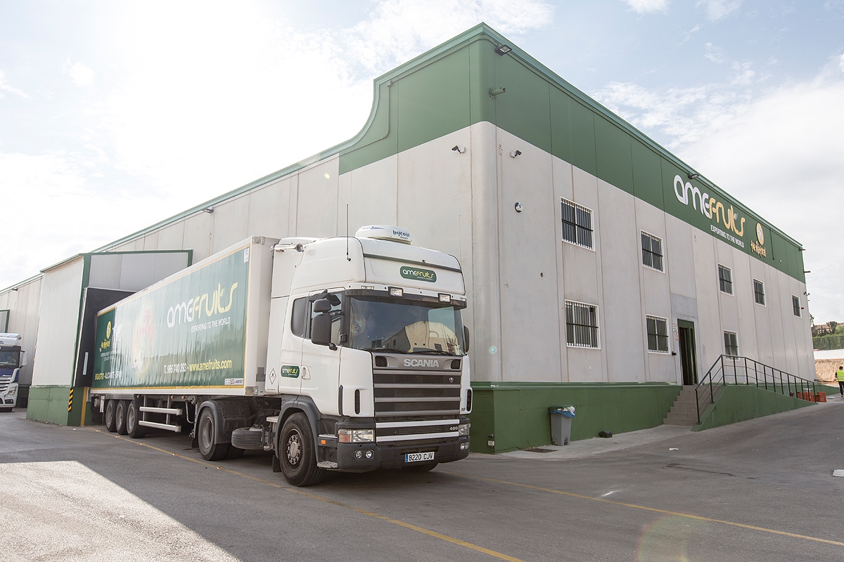 Instalaciones de Amefruits en Bigastro. - Foto: PLAZA