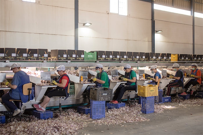 Instalaciones de Amefruits en Bigastro.