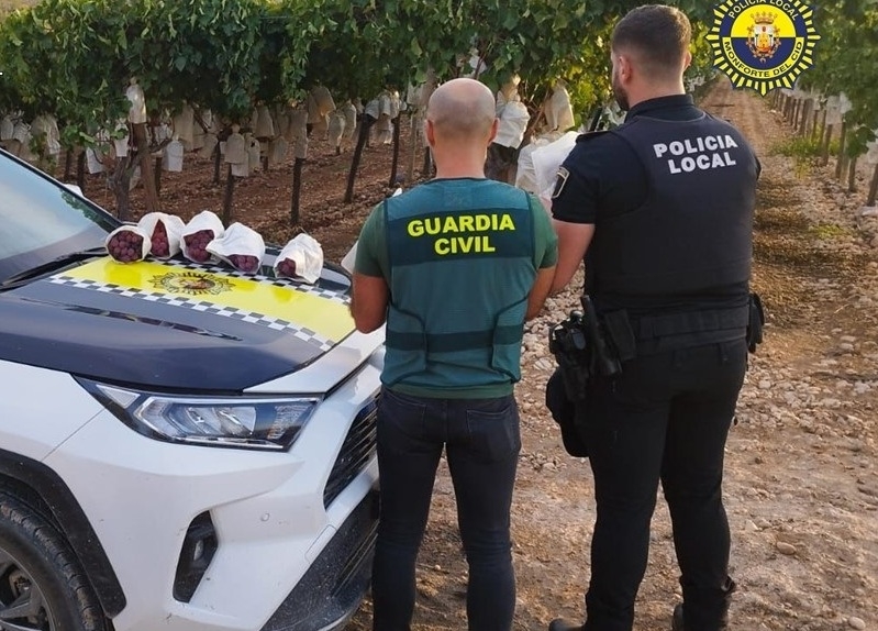Investigan a dos hombres por intentar robar cien kilos de uva del Vinalopó en Monforte del Cid