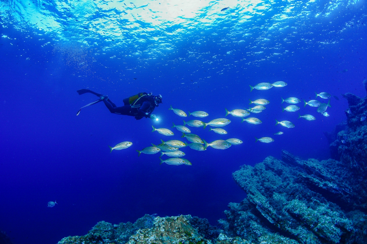  - Foto: TURISMO REGIÓN DE MURCIA