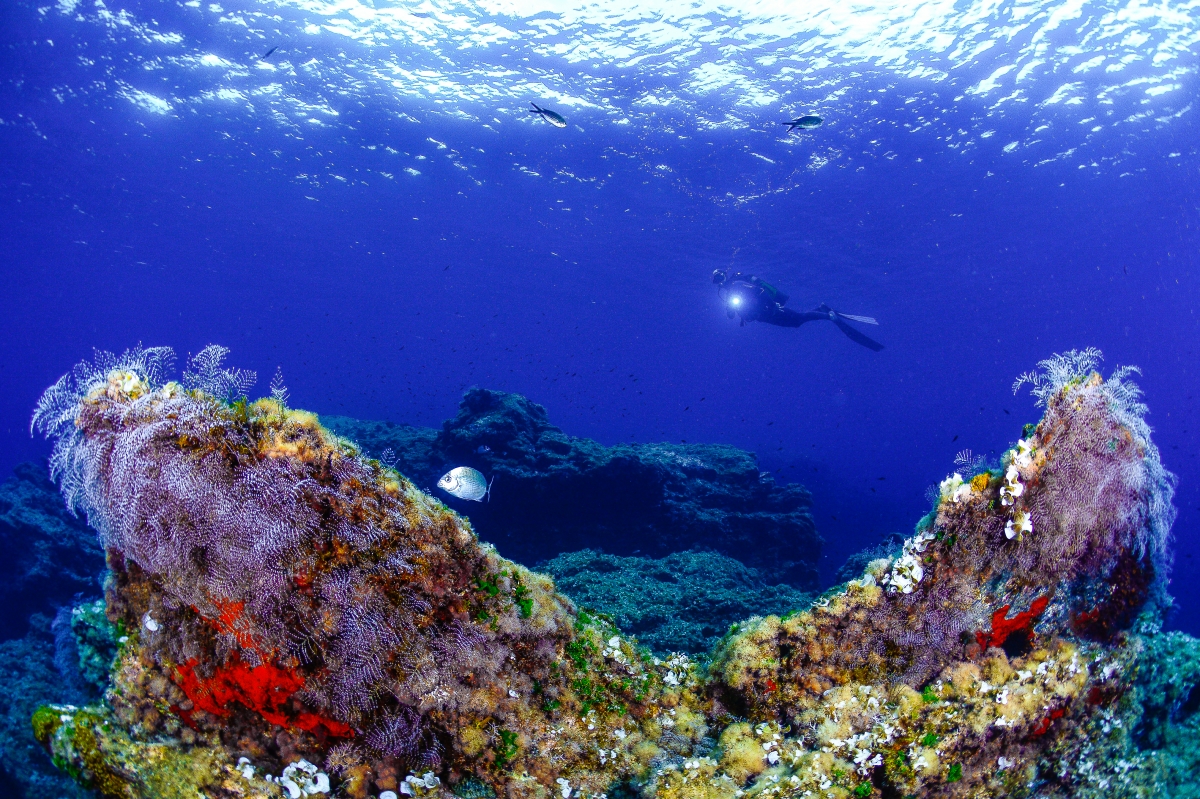  - Foto: TURISMO REGIÓN DE MURCIA