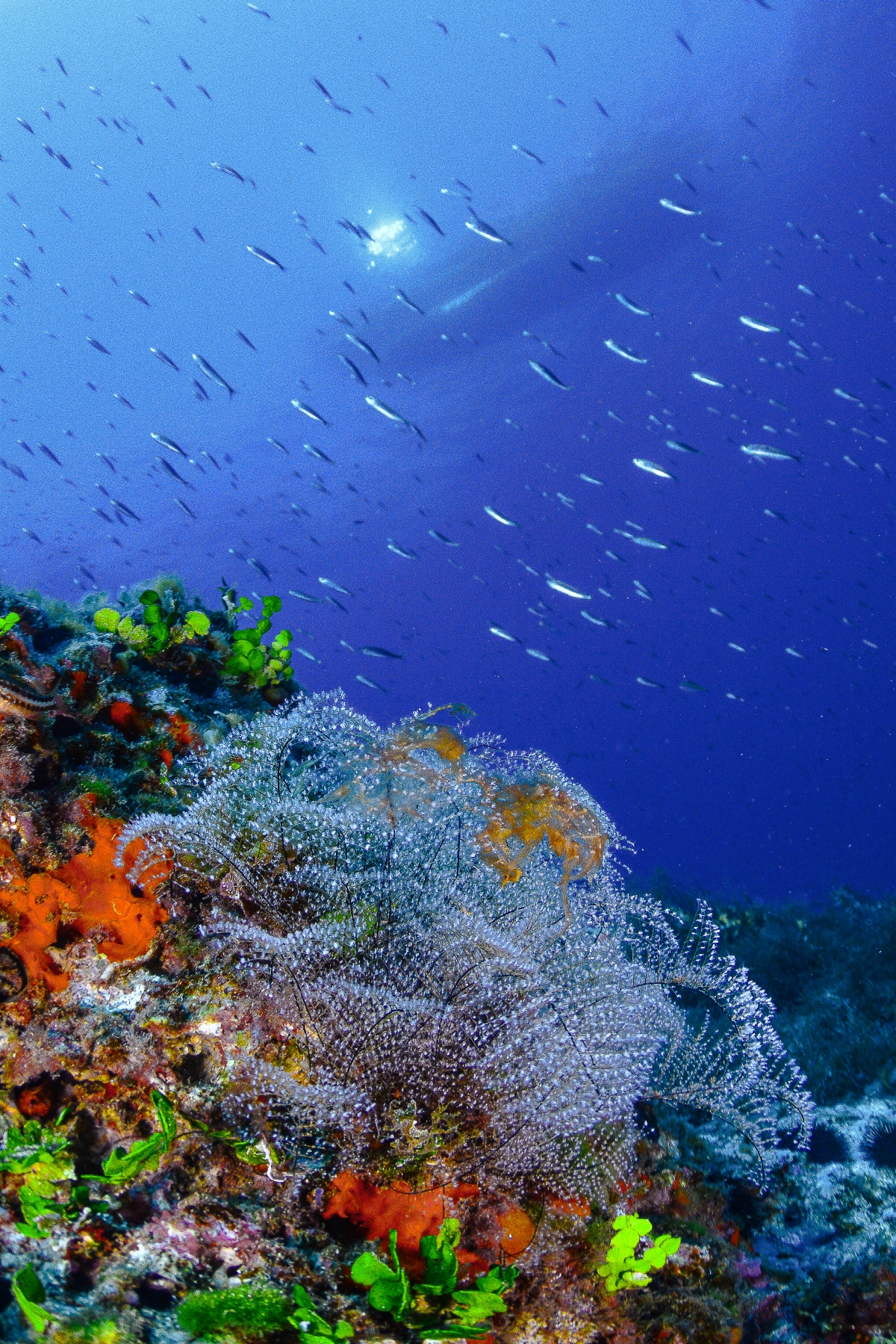  - Foto: TURISMO REGIÓN DE MURCIA