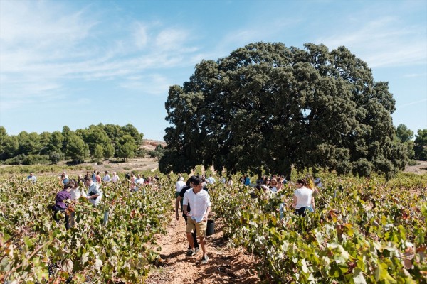 La Diputación de Valencia celebra el Día Mundial del Turismo con actividades en 25 municipios