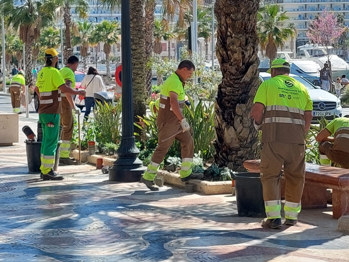 Alicante salda cuentas con Geamur y aborda la nueva contrata de jardines por cuatro años