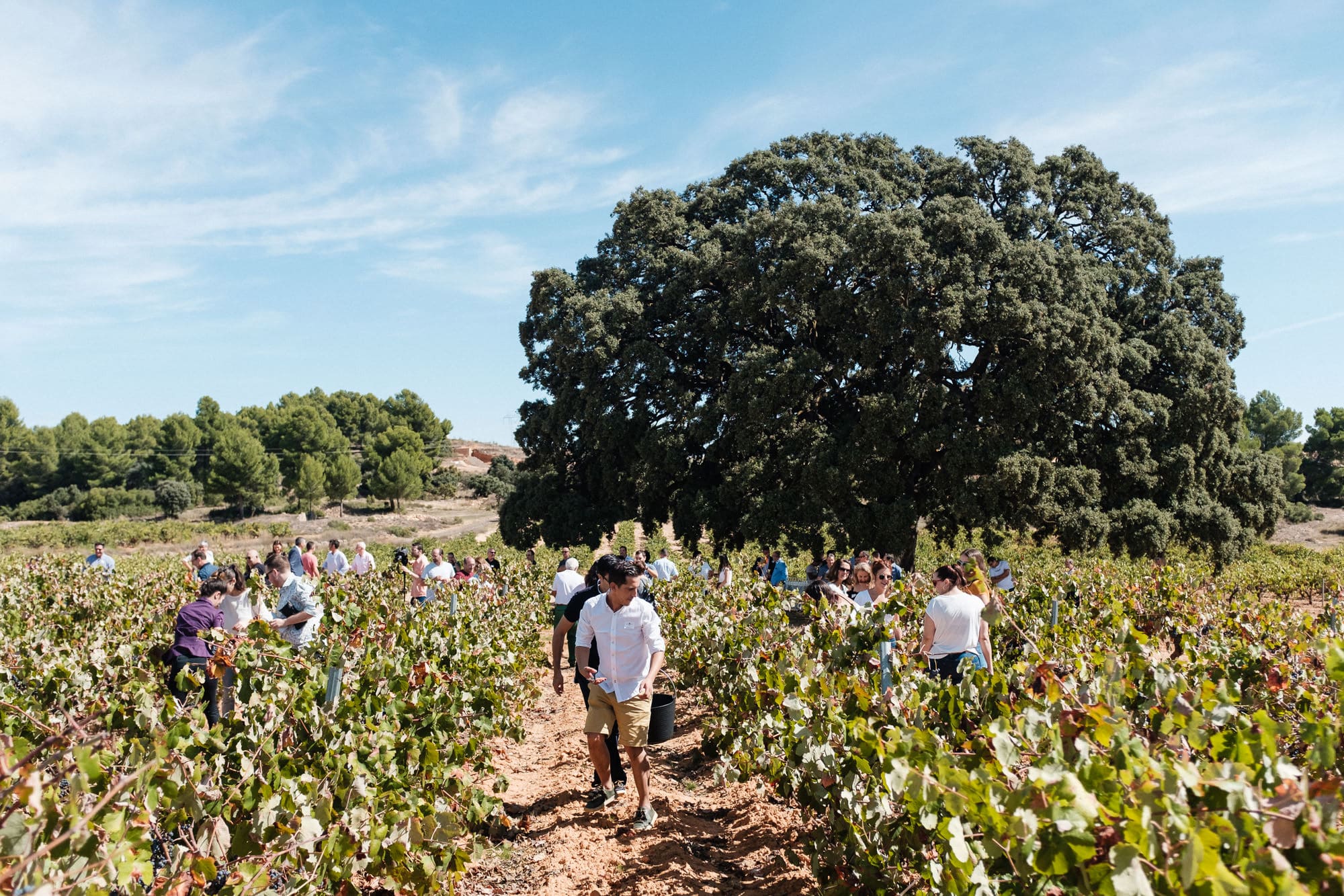 La Diputació de València celebra el Día Mundial del Turismo 2024 con actividades en diversos municipios