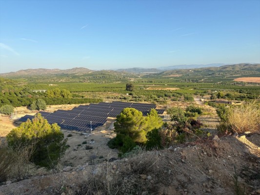 La Generalitat Valenciana invierte 7,9 millones en la modernización del riego de 1.110 hectáreas en Pedralba