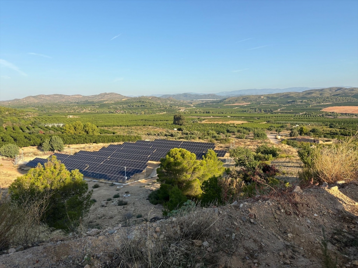 La Generalitat Valenciana invierte 7,9 millones en la modernización del riego de 1.110 hectáreas en Pedralba