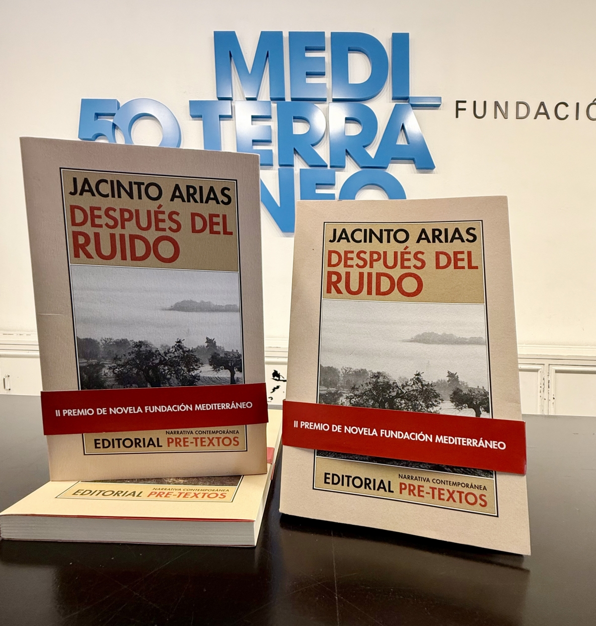 Novela Después del ruido