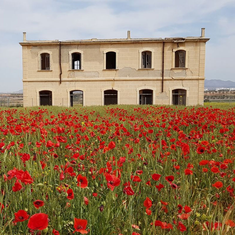 Descubre las Vías Verdes de la Región de Murcia: rutas para caminar y pedalear desde la costa hasta la montaña